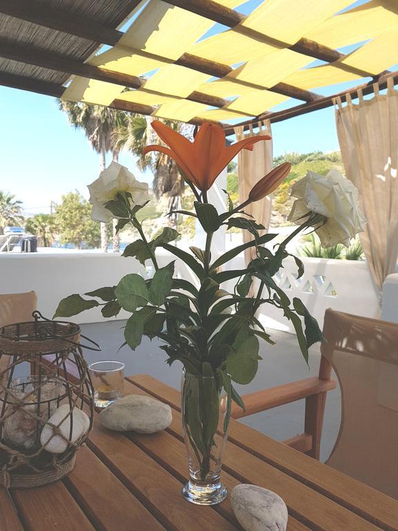 Theo'S Vacation Home Skyros Buitenkant foto