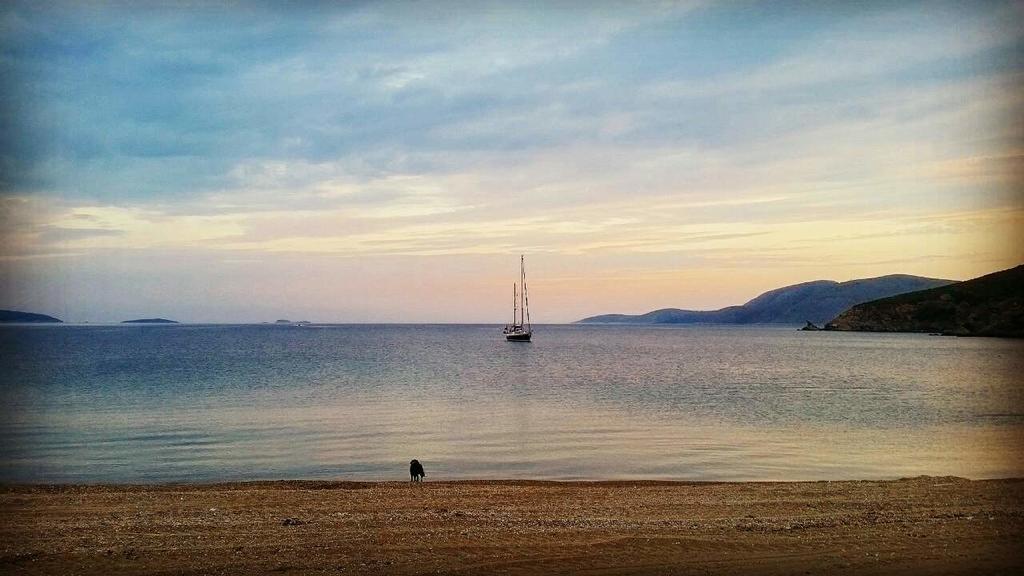 Theo'S Vacation Home Skyros Buitenkant foto