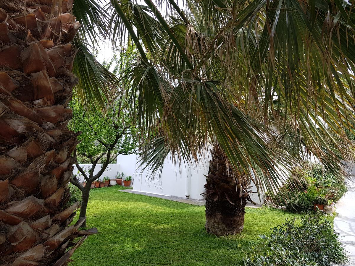 Theo'S Vacation Home Skyros Buitenkant foto